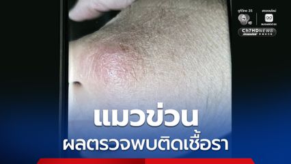 แมวข่วน ติดเชื้อรา ต้องกินยานาน 3-6 เดือน