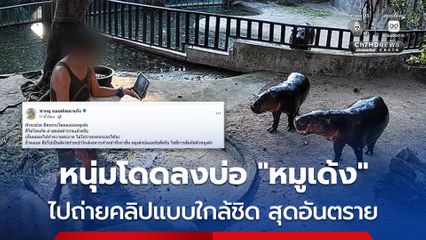 หนุ่มโดดลงบ่อ หมูเด้ง ไปถ่ายคลิปแบบใกล้ชิด ล่าสุด รวบตัวชายคนดังกล่าว ส่งตำรวจดำเนินคดีแล้ว