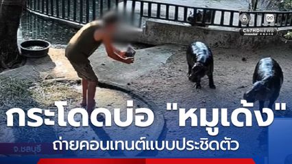 สวนสัตว์เอาผิด คนกระโดดบ่อ “หมูเด้ง”