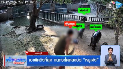 เอาผิดถึงที่สุด คนกระโดดลงบ่อ “หมูเด้ง”