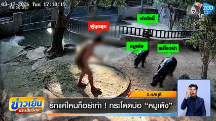 รักแค่ไหนก็อย่าทำ ! ชายปริศนา กระโดดลงบ่อ "หมูเด้ง"