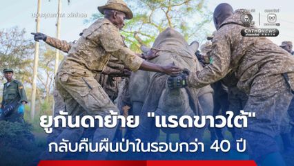 ยูกันดาย้าย “แรดขาวใต้” กลับสู่อุทยานฯ ครั้งแรกในรอบกว่า 40 ปี