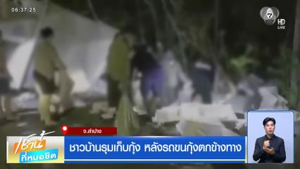 ชาวบ้านรุมเก็บกุ้ง หลังรถขนกุ้งตกข้างทาง