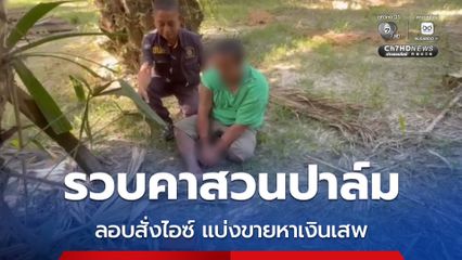 รวบคาสวนปาล์ม หนุ่มลูกเจ้าของบ้าน ลอบสั่งไอซ์ แบ่งขายหาเงินเสพ