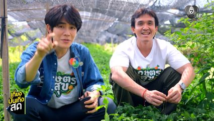 โต๋นแตร-จุกบี้ พาไปรู้จัก ผักจิงจูฉ่าย ในรายการ เกษตรสุข เสาร์นี้