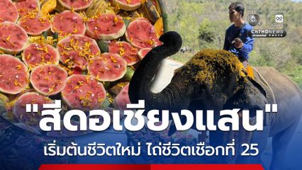 ไถ่ชีวิตเชือกที่ 25 สีดอเชียงแสน เริ่มต้นใหม่บ้านช้างตระกูลแสน