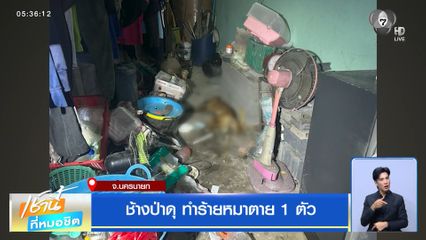 ช้างป่าดุ ทำร้ายหมาตาย 1 ตัว