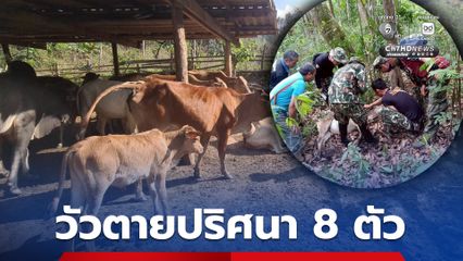 ชาวบ้านผวา สัตว์ป่าเข้าใกล้หมู่บ้านทำวัวตายปริศนา 8 ตัว