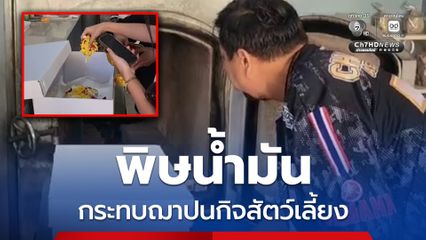 วัด ใน จ.ชลบุรี ยังเปิดช่วยประชาชนฌาปนกิจสัตว์เลี้ยง