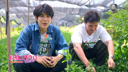 โต๋นแตร-จุกบี้ พาเดินดูสวนผักจิงจูฉ่าย ทำรายได้หลักแสนต่อเดือน