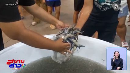 ตักกุ้งร้อยเดียว เคี้ยวมัน จ.ระยอง