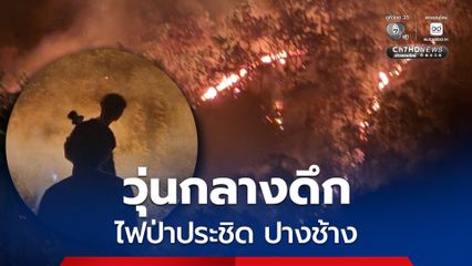 ไฟป่าประชิด “บ้านช้างตระกูลแสน” แม่แตง ระดมกำลังควบคุมสถานการณ์กลางดึก
