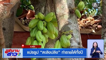 แปรรูป "ตะลิงปลิง" ทำรายได้ทั้งปี จ.ตรัง