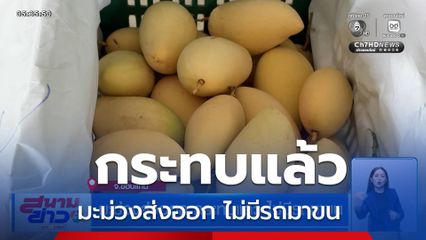 มะม่วงส่งออก กระทบแล้ว ไม่มีรถมาขน จ.ขอนแก่น