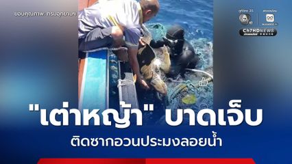 อุทยานฯ หมู่เกาะสิมิลัน ช่วย "เต่าหญ้า" ติดซากอวนประมงลอยน้ำที่เกาะบอน 