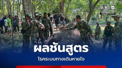 ช้างหนุ่ม ป่าภูวัว ผลชันสูตรพบรอยโรคระบบทางเดินหายใจ