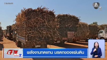 รายงานพิเศษ : พลังงานทดแทน มรดกของแผ่นดิน