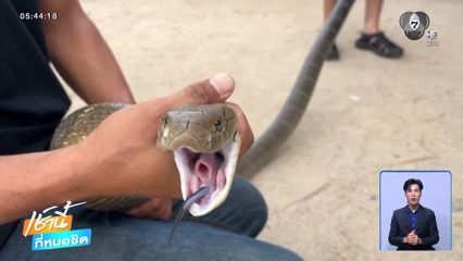 โชคลาภเลื้อยมาถึงบ้าน จ.จันทบุรี