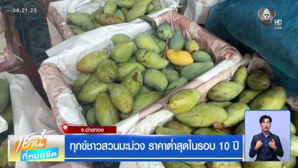 ทุกข์ชาวสวนมะม่วง ราคาต่ำสุดในรอบ 10 ปี จ.อ่างทอง