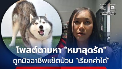 สาวอุดรฯ โพสต์คลิปตามหาสุนัขไซบีเรียนสุดรัก ซ้ำ โดนมิจฉาชีพแช็ตป่วนเรียกค่าไถ่