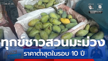 ทุกข์ชาวสวนมะม่วง ราคาต่ำสุดในรอบ 10 ปี จ.อ่างทอง