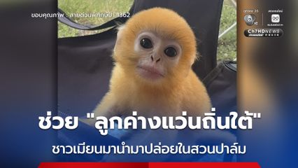 ช่วย “ลูกค่างแว่นถิ่นใต้” ชาวเมียนมานำมาปล่อยในสวนปาล์ม