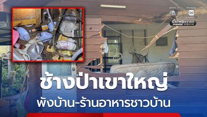 ระทึกทั้งคืน! ช้างป่าเขาใหญ่ บุกพังบ้าน-ร้านอาหารชาวบ้าน เสียหายหนักต่อเนื่อง 2 จุดในคืนเดียว