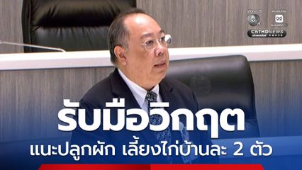 วิกฤตตะวันออกกลาง สว.ปฏิมาแนะปลูกผักสวนครัว เลี้ยงไก่บ้านละ 2 ตัว