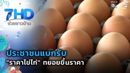 ลุ้น "ไข่ไก่" ปรับราคาขึ้นอีก ?