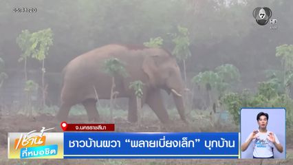 ชาวบ้านผวา "พลายเบี่ยงเล็ก" บุกบ้าน