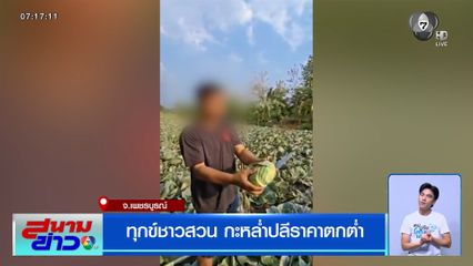 ทุกข์ชาวสวน กะหล่ำปลีราคาตกต่ำ จำใจต้องปล่อยทิ้ง ขายไปก็ขาดทุน