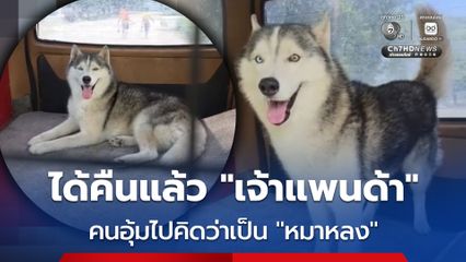 ได้คืนแล้ว เจ้าแพนด้า สุนัขไซบีเรียน ที่ถูกอุ้มขึ้นกระบะหายไป 5 วัน คนที่เอาไป เผย นึกว่าเป็นหมาหลงทาง