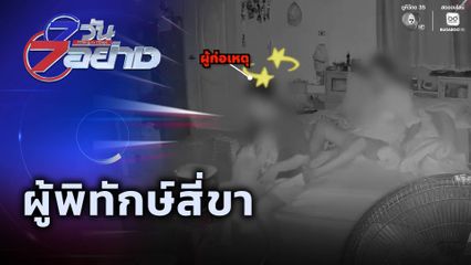 7 วัน 7 อย่าง : ผู้พิทักษ์สี่ขา