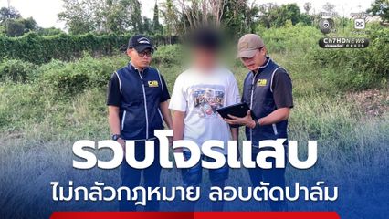 รวบโจรแสบไม่กลัวกฎหมาย ลอบตัดปาล์ม หลังก่อเหตุกลางวันแสกๆหนีไม่พ้น โดนรวบทันควัน