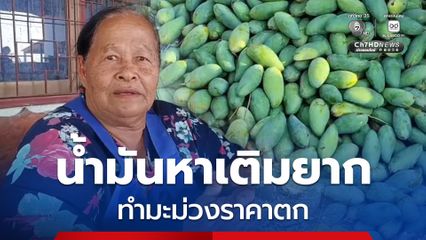 เกษตรกรทุกข์! น้ำมันหาเติมยาก ไม่มีพ่อค้ามารับซื้อมะม่วง ทำให้ราคาตกเหลือ กก.2-3 บาท