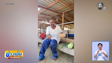 หมอปลา ซัด สว.ทำไม่ได้จริง ปมแนะปลูกผัก-เลี้ยงไก่