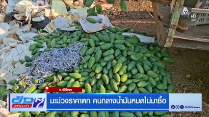 มะม่วงราคาตก คนกลางน้ำมันหมดไม่มาซื้อ