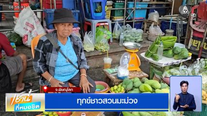 ทุกข์ชาวสวนมะม่วง จ.พิษณุโลก