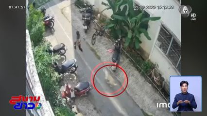 สุนัขดุไล่กัดหลายคน ทำชาวบ้านเดือดร้อน