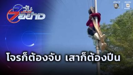 7 วัน 7 อย่าง : โจรก็ต้องจับ เสาก็ต้องปีน