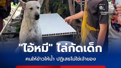 ผวาทั้งหมู่บ้าน ! ไอ้หมี สุนัขพันธุ์ไทย ไล่กัดเด็กมาแล้วนับสิบราย ขณะที่ คนให้ข้าวให้น้ำกิน ปฏิเสธไม่ใช่เจ้าของ