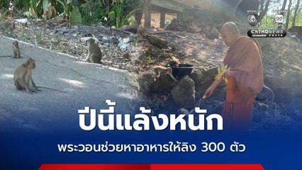 ปีนี้แล้งหนัก พระวอนช่วยหาอาหารให้ลิง 300 ตัว