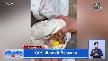 GPS จับโจรลักขี้ยางพารา