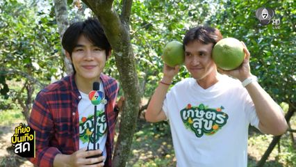 เกษตรสุข พาตะลุยสวนส้มโอพันธุ์ขาวใหญ่ - มิตรรัก ทั่วไทย พาไปทำความรู้จัก สวนส้มซ่า