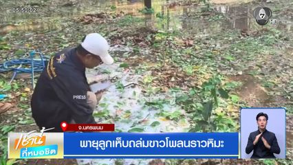 พายุลูกเห็บถล่มขาวโพลนราวหิมะ