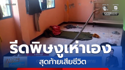 อนาถ ! หนุ่มรีดพิษงูเห่าด้วยตนเอง สุดท้ายเสียชีวิต