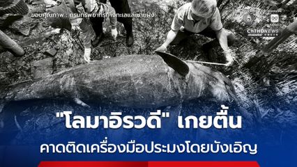 “โลมาอิรวดี” เกยตื้น คาดติดเครื่องมือประมงโดยบังเอิญ