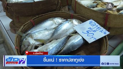 ขึ้นแน่ ! ราคาปลาทูเข่ง จ.เชียงใหม่