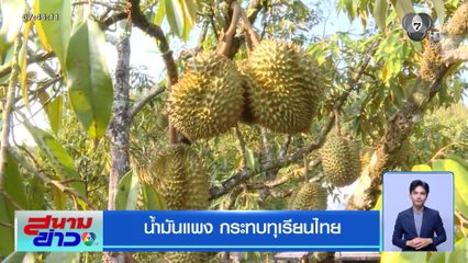 น้ำมันแพง กระทบทุเรียนไทย