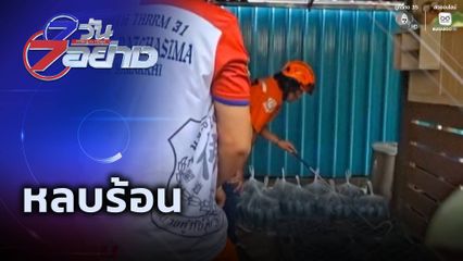 7 วัน 7 อย่าง : หลบร้อน